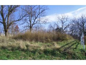 137 Methodist Ridge Road, Unit 1 Telford, TN 37690 - Photo 4 of 5 Photo 4