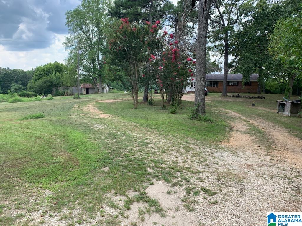 1286 County Road 667 Ranburne, AL 36273 - Photo 28 of 28