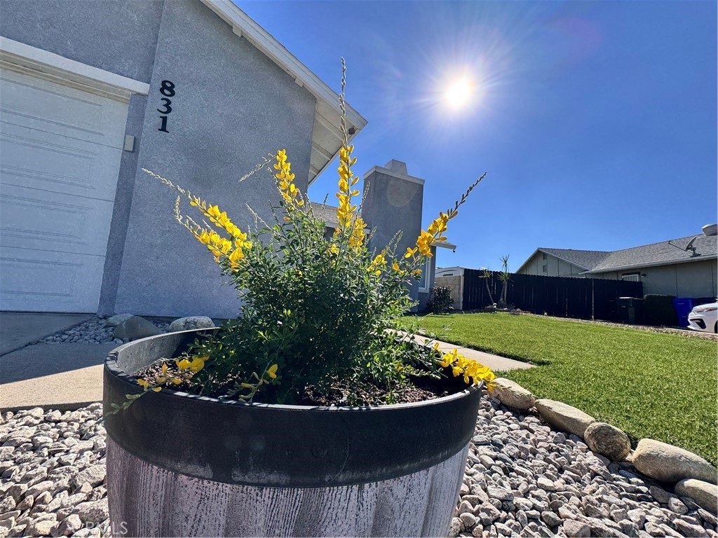 831 West Cerritos Street Rialto, CA 92376 - Photo 2 of 47 a view of a back yard