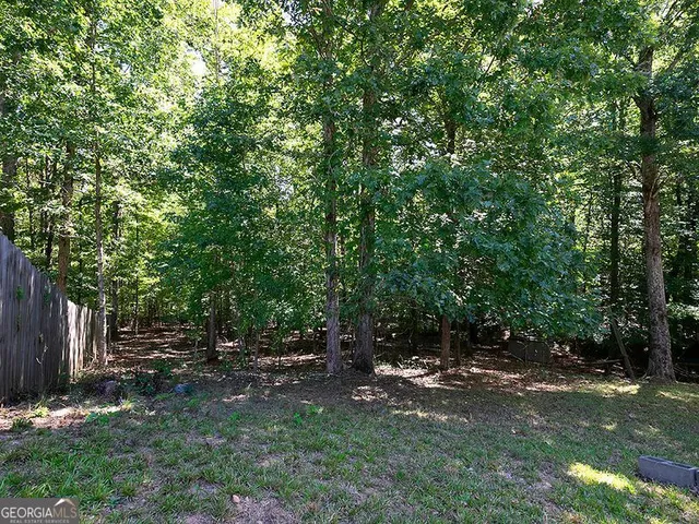 a view of backyard with green space