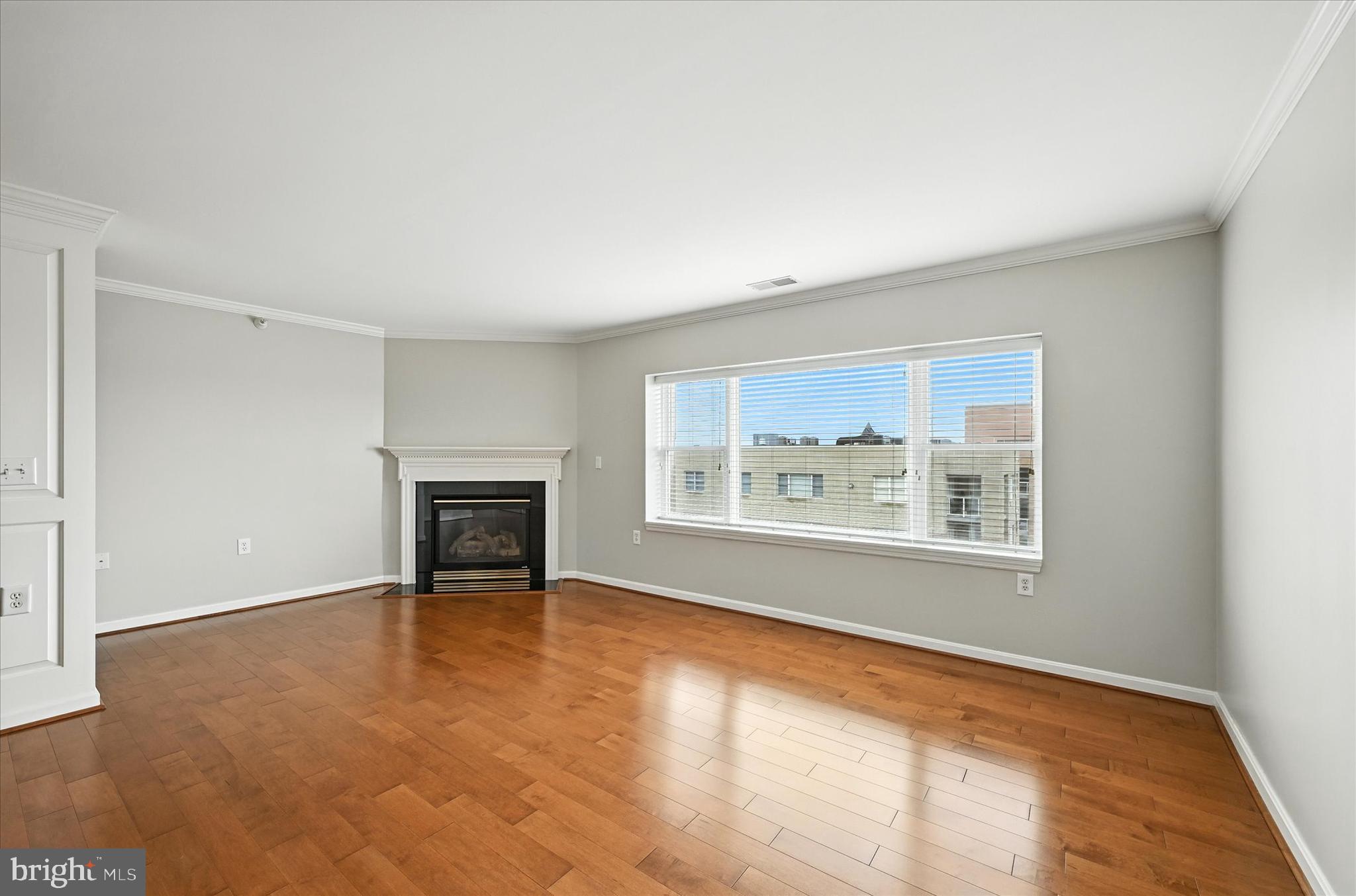 12240 Roundwood Road, Unit 808 Lutherville-Timonium, MD 21093 - Photo 3 of 31 a view of an empty room with a window and a fireplace