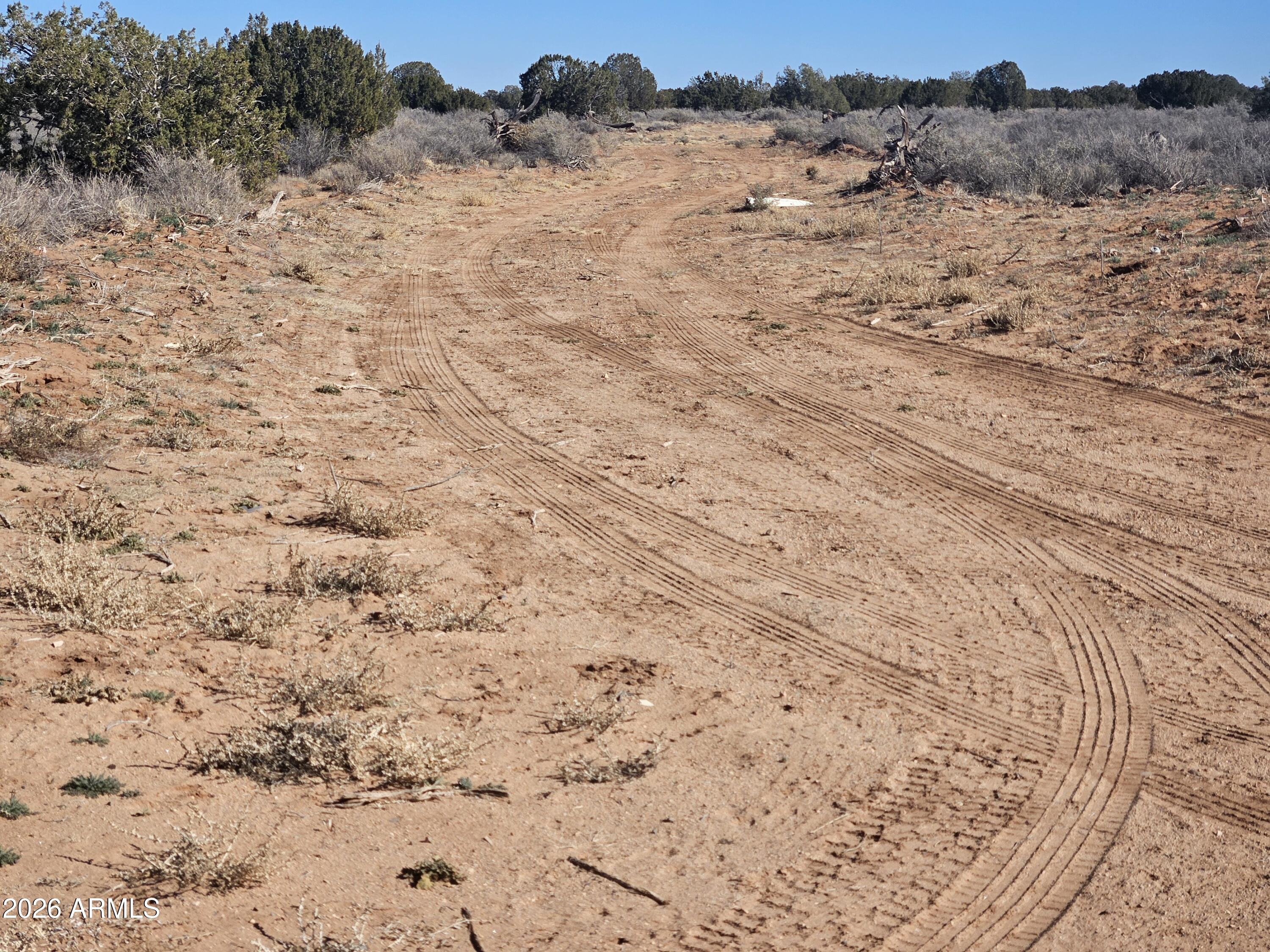 a view of a dry yard with trees in the background