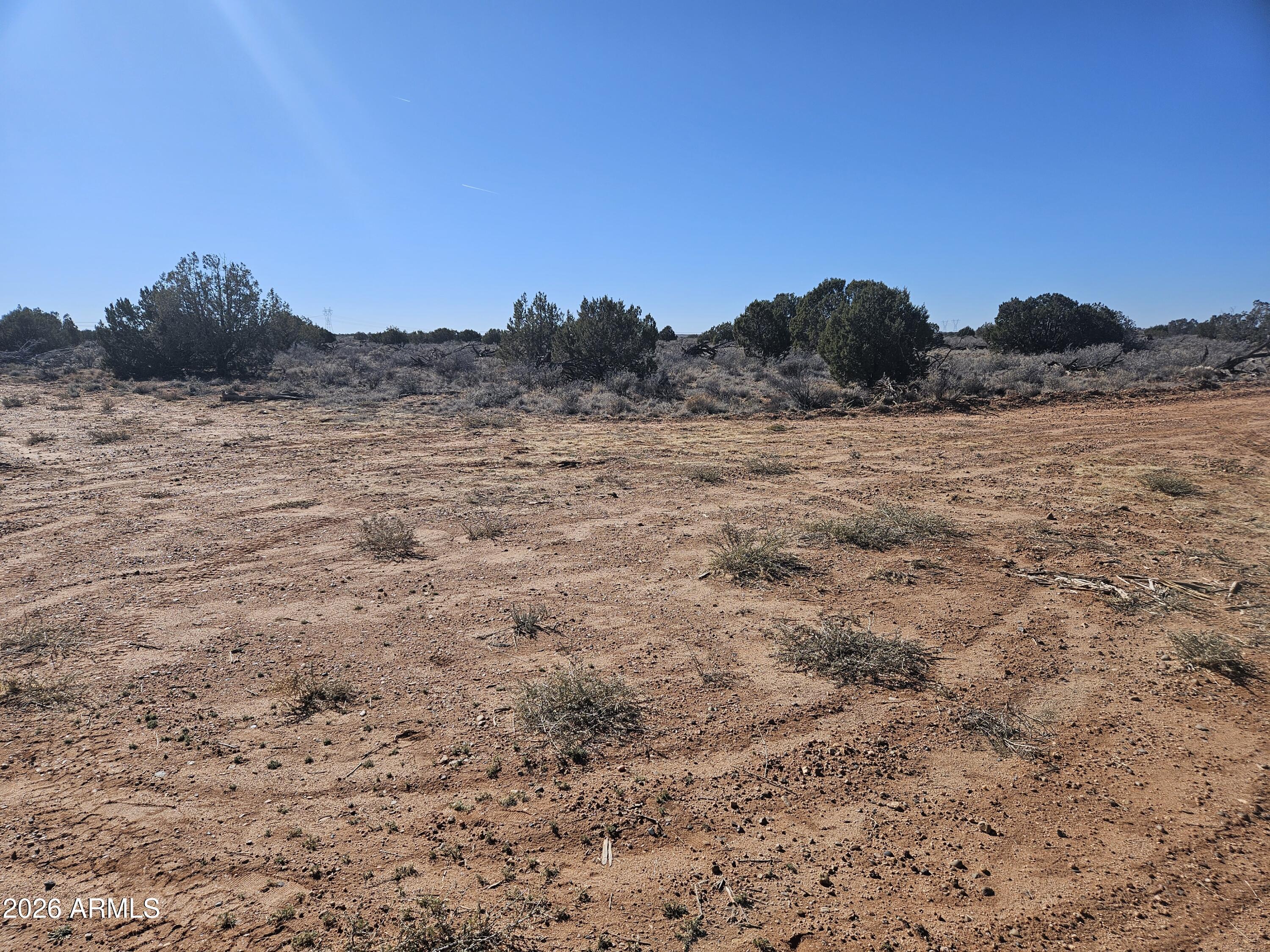 5371 Valley Road Snowflake, AZ 85937 - Photo 11 of 28 a view of mountain and grassy field