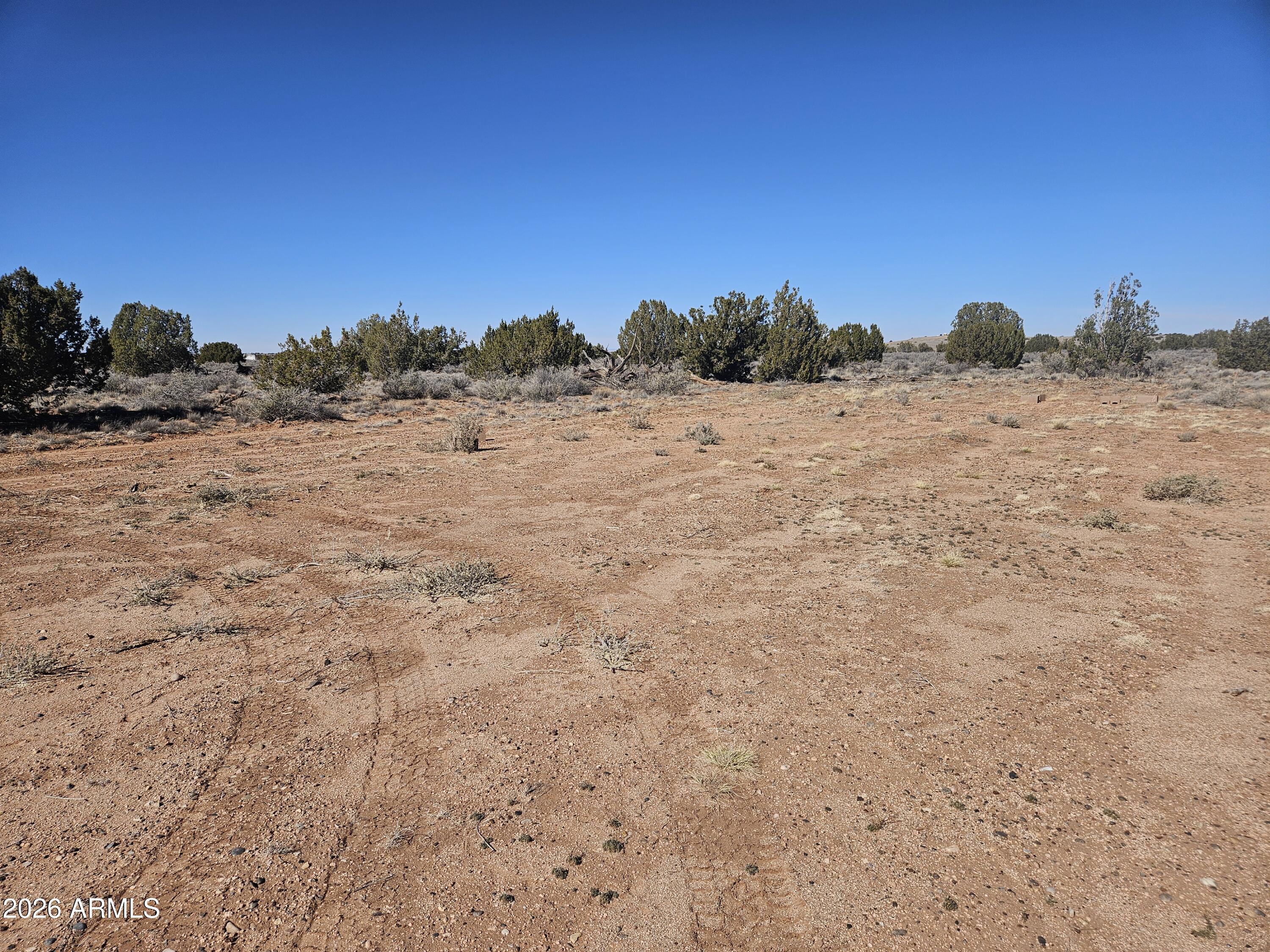 5371 Valley Road Snowflake, AZ 85937 - Photo 12 of 28 a view of a dry yard with trees in the background