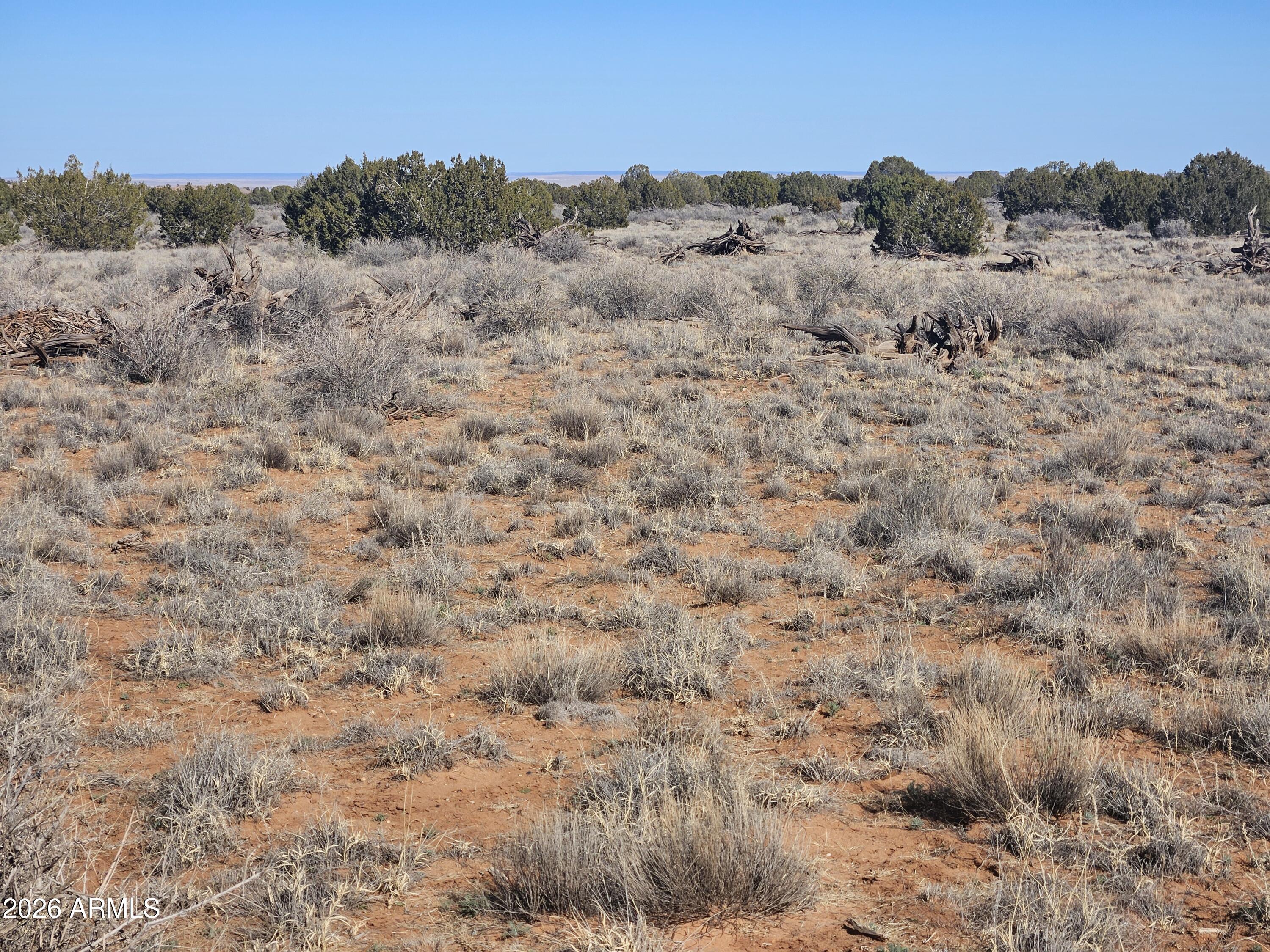 5371 Valley Road Snowflake, AZ 85937 - Photo 14 of 28 a view of a dry field