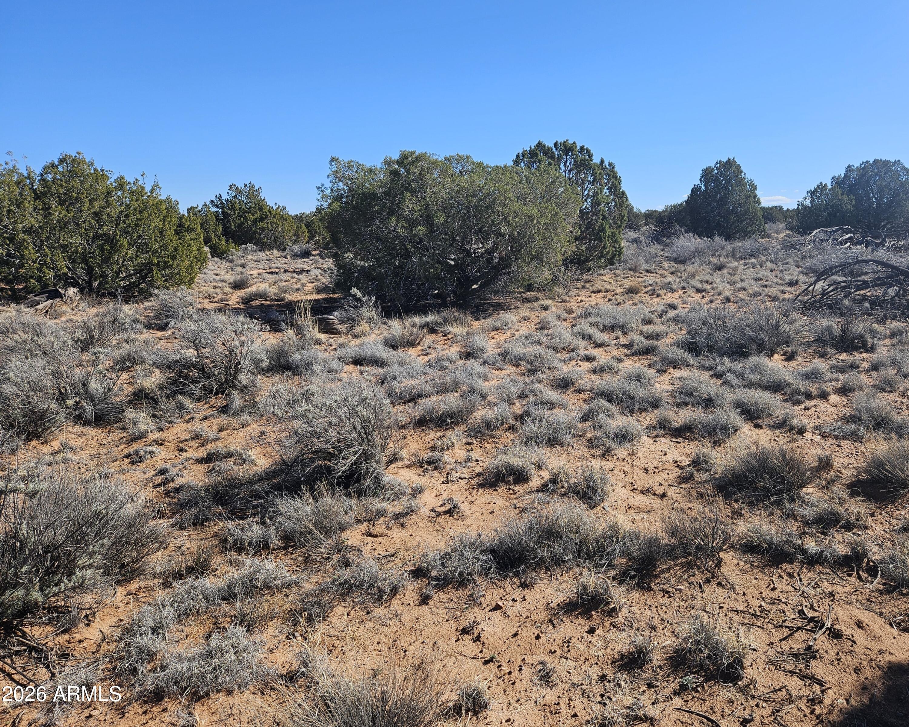 5371 Valley Road Snowflake, AZ 85937 - Photo 16 of 28 a view of a dry yard