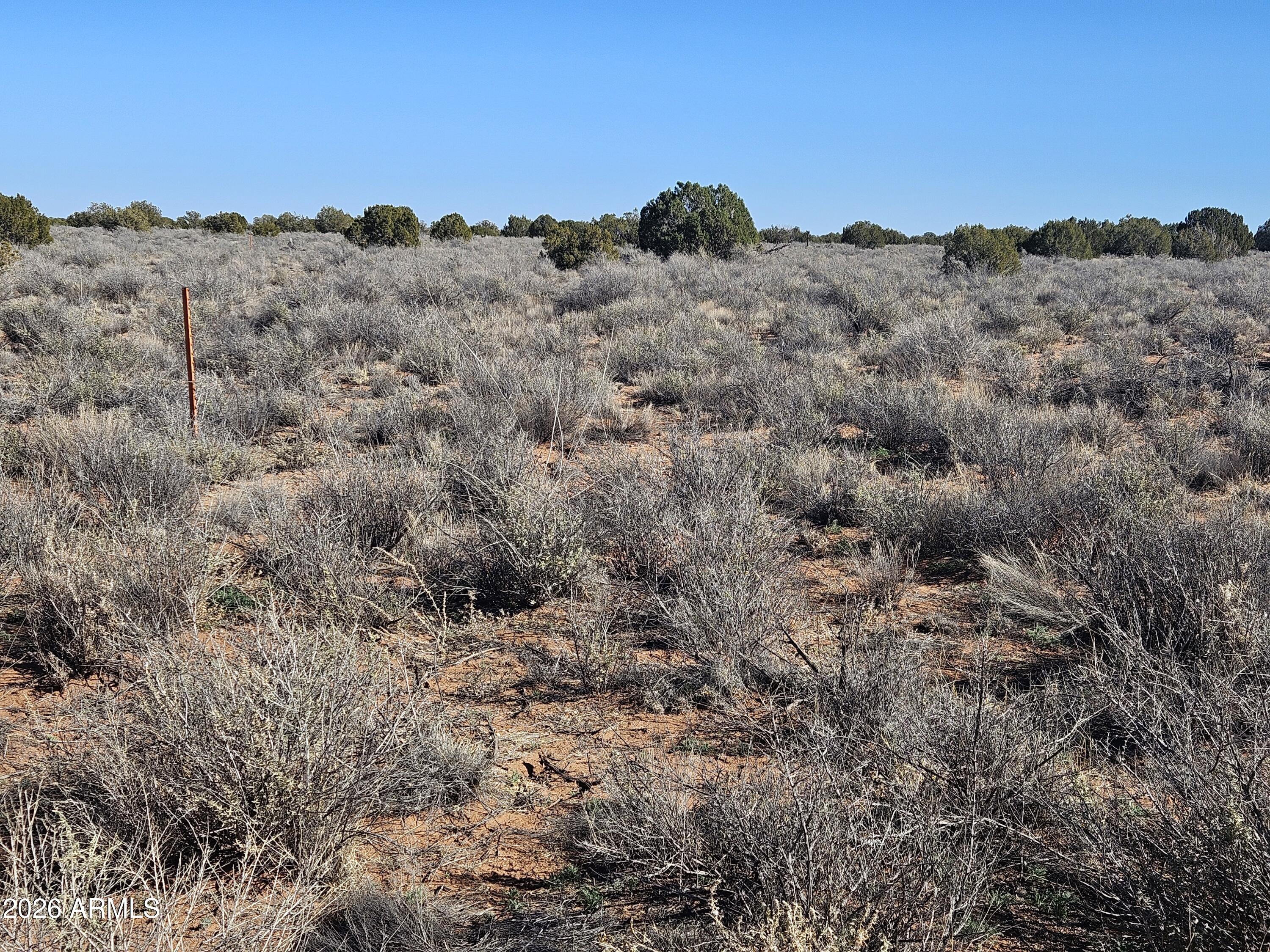5371 Valley Road Snowflake, AZ 85937 - Photo 17 of 28 a view of a building with a mountain in the background