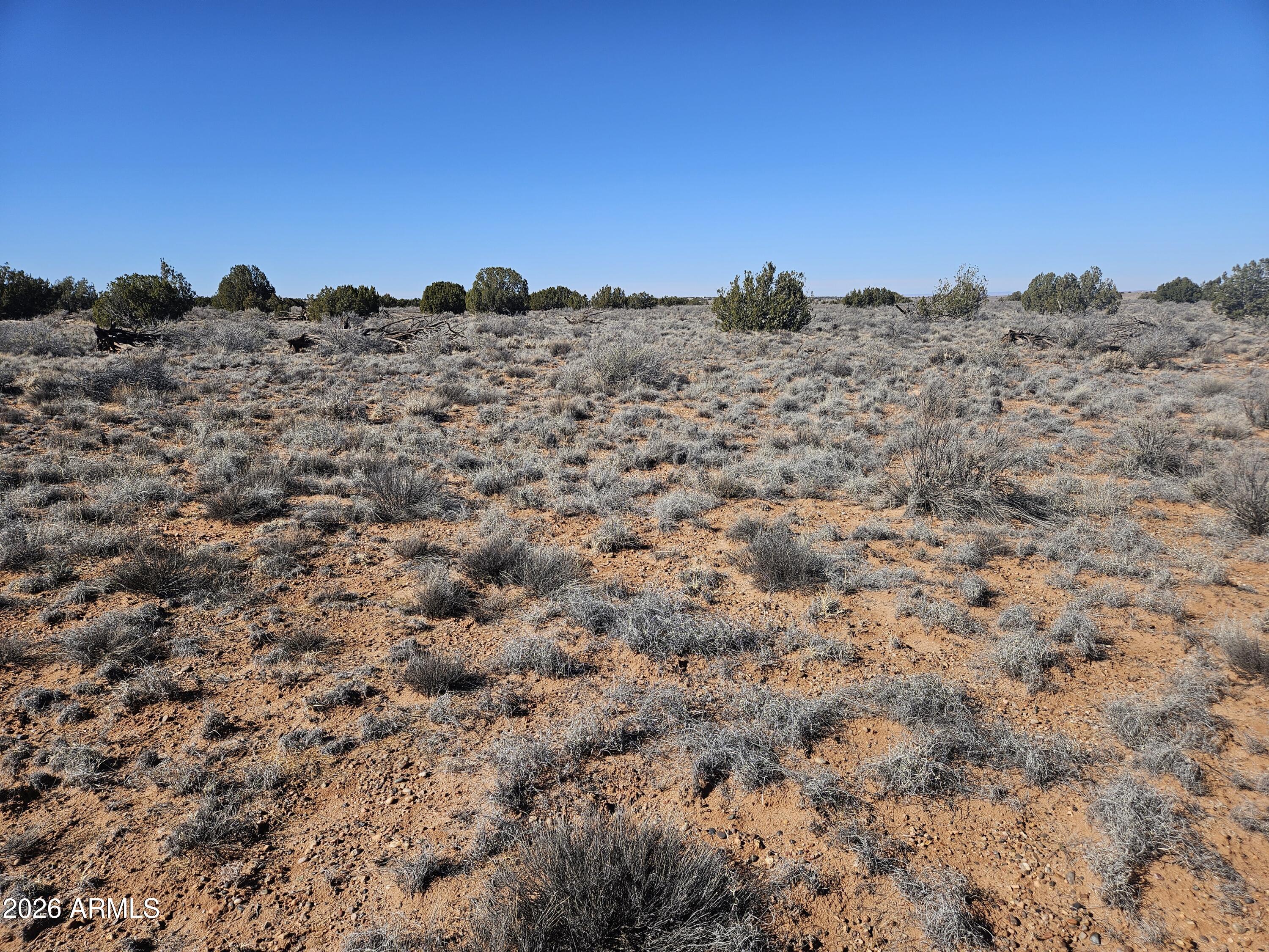 5371 Valley Road Snowflake, AZ 85937 - Photo 18 of 28 a view of a beach and mountains