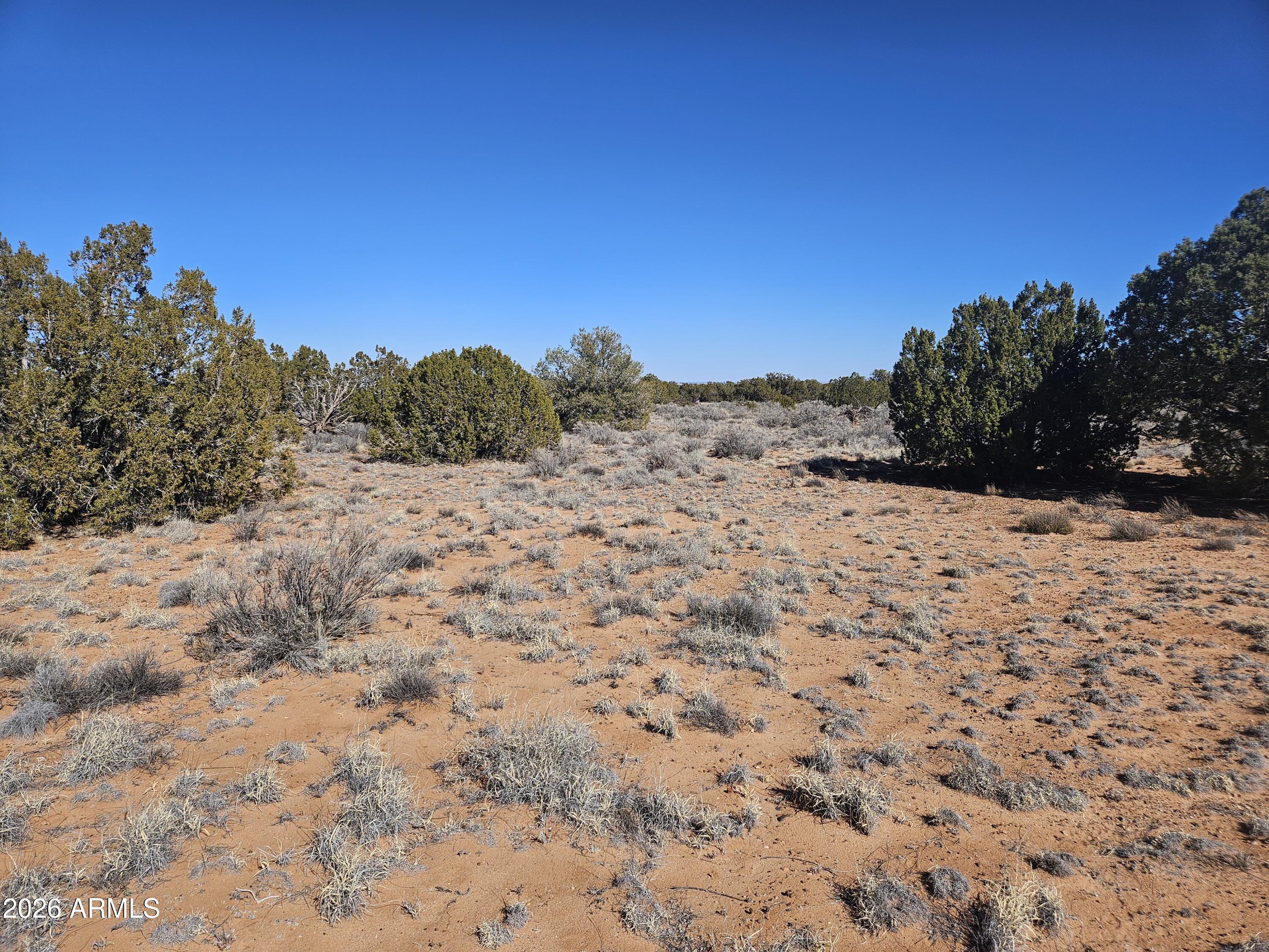 5371 Valley Road Snowflake, AZ 85937 - Photo 19 of 28 a view of a dry yard with mountains in the background