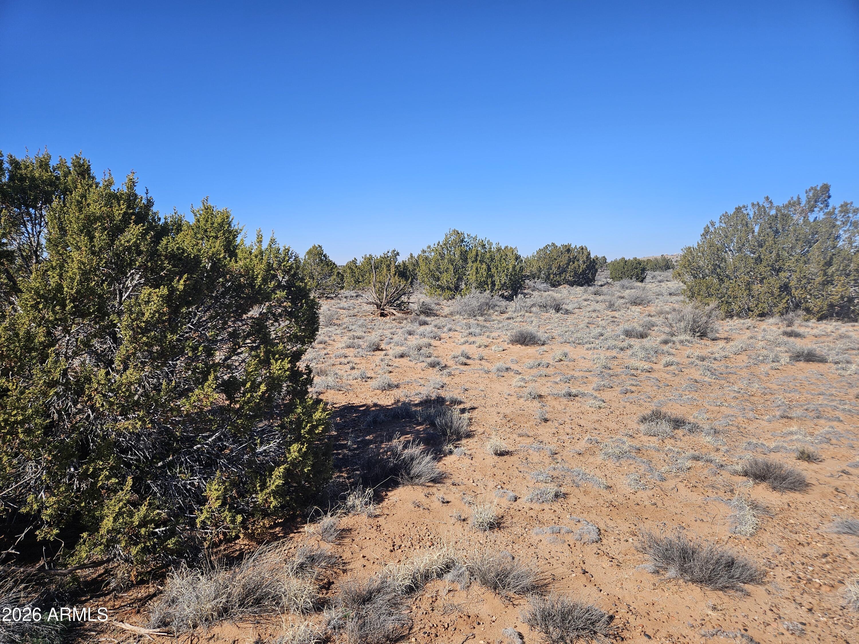 5371 Valley Road Snowflake, AZ 85937 - Photo 20 of 28 a view of a dry field with trees in the background