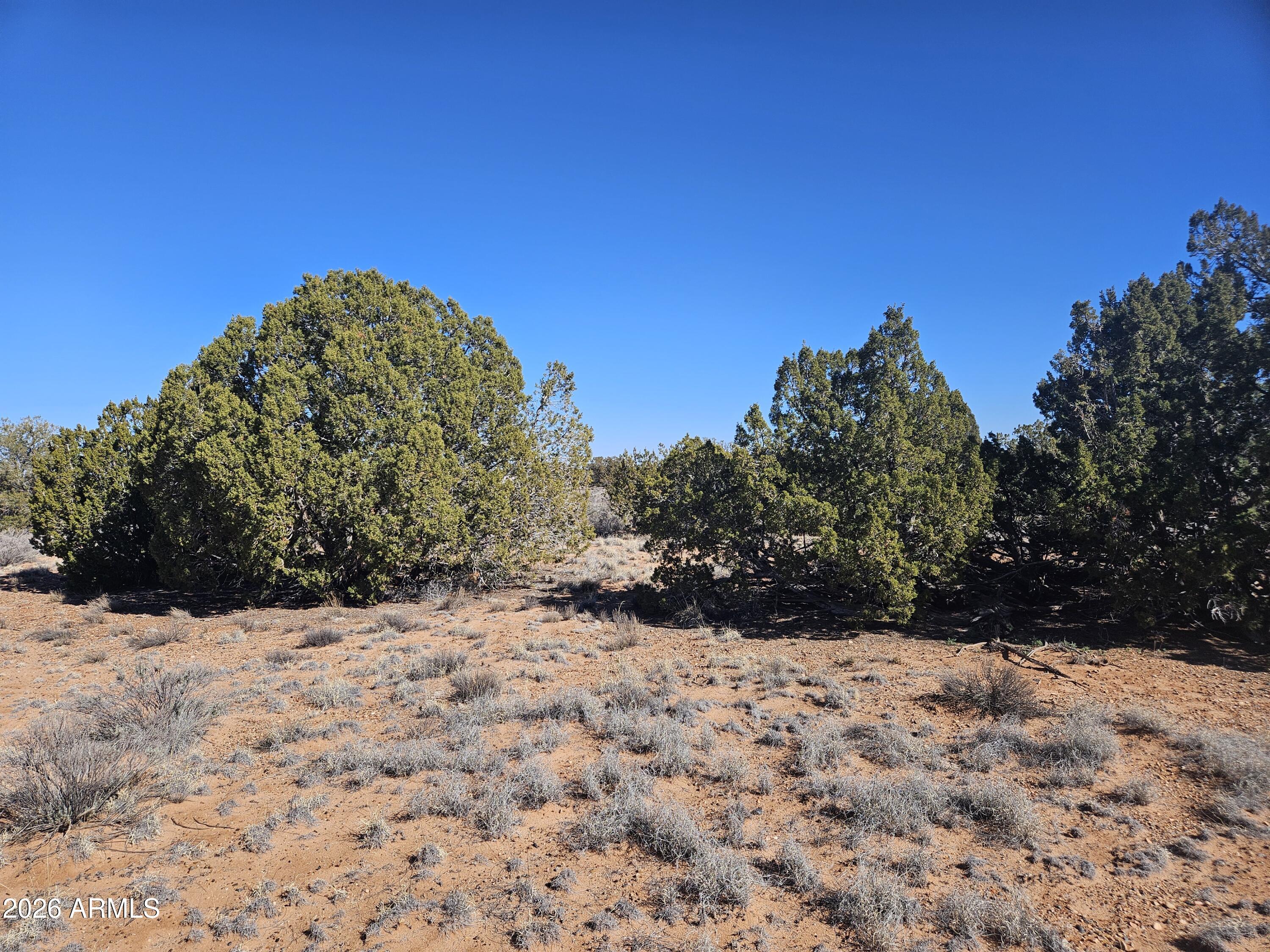 5371 Valley Road Snowflake, AZ 85937 - Photo 21 of 28 a view of snow covered with snow in backyard