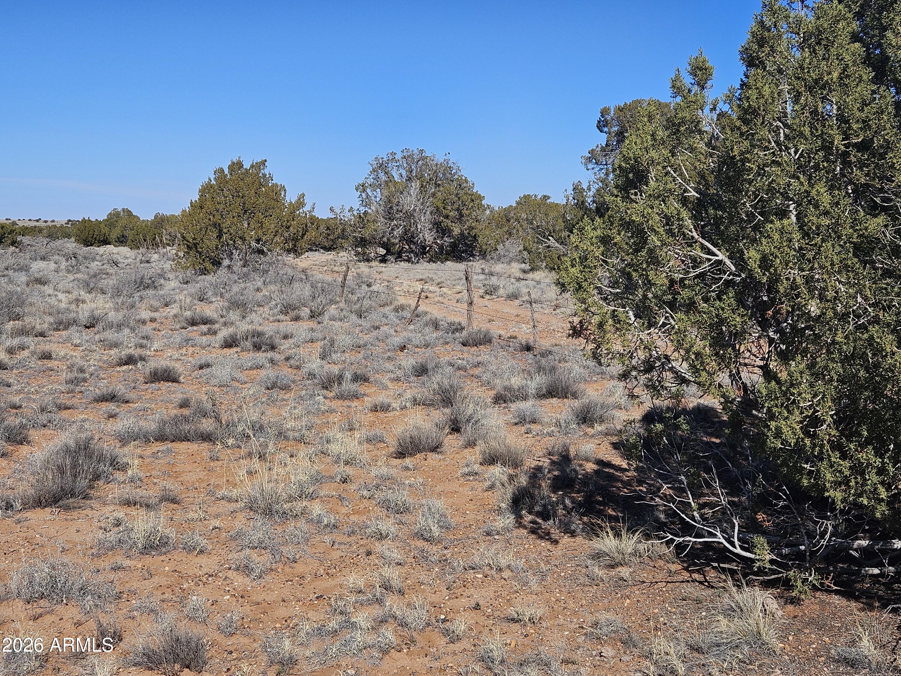 5371 Valley Road Snowflake, AZ 85937 - Photo 22 of 28 a view of a dry field with trees in the background