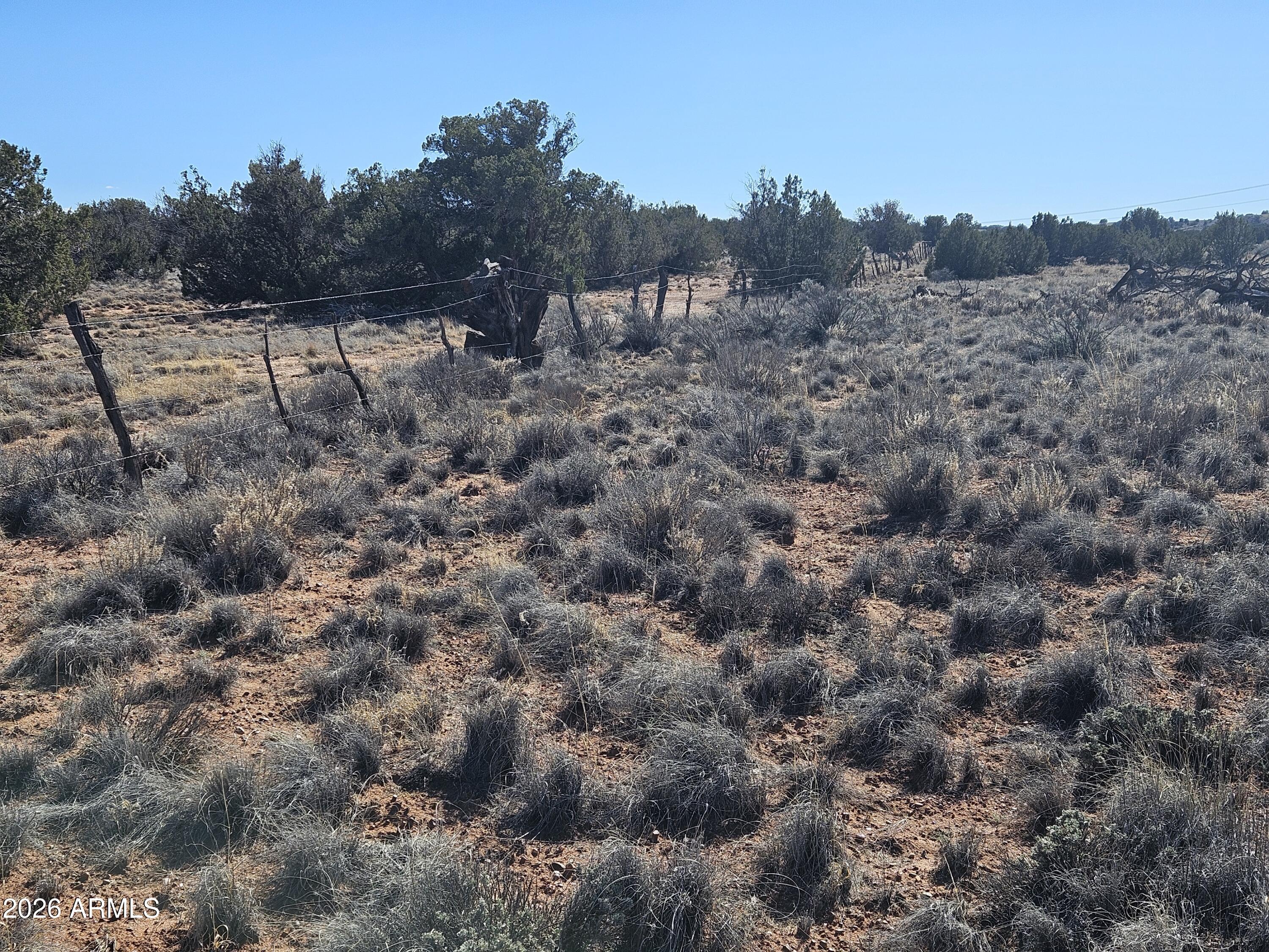 5371 Valley Road Snowflake, AZ 85937 - Photo 23 of 28 a view of a forest with trees in the background