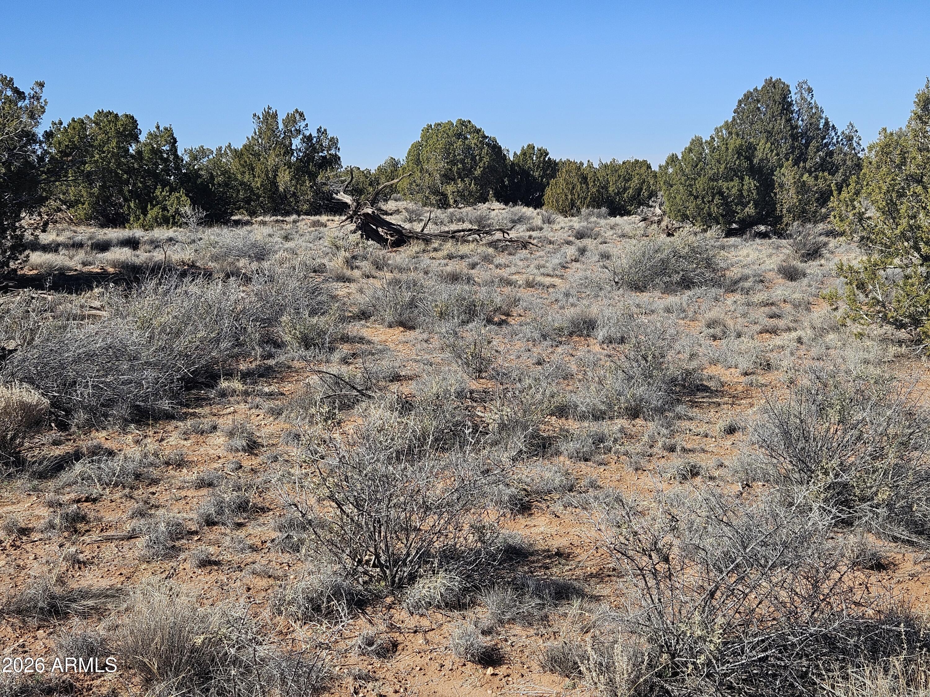 5371 Valley Road Snowflake, AZ 85937 - Photo 24 of 28 a view of a dry field