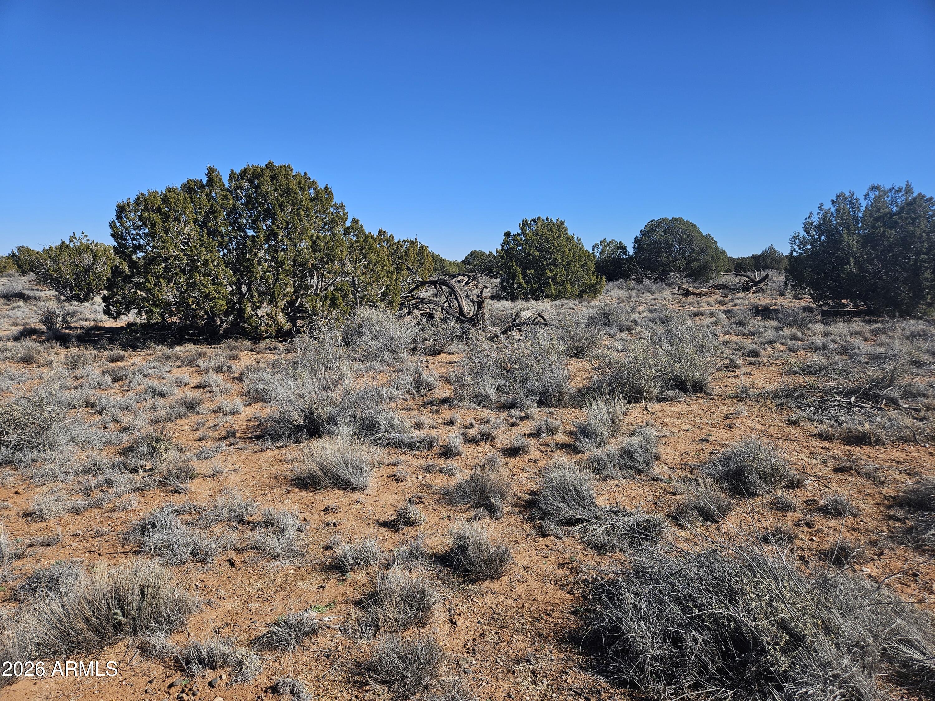 5371 Valley Road Snowflake, AZ 85937 - Photo 26 of 28 a view of a dry field