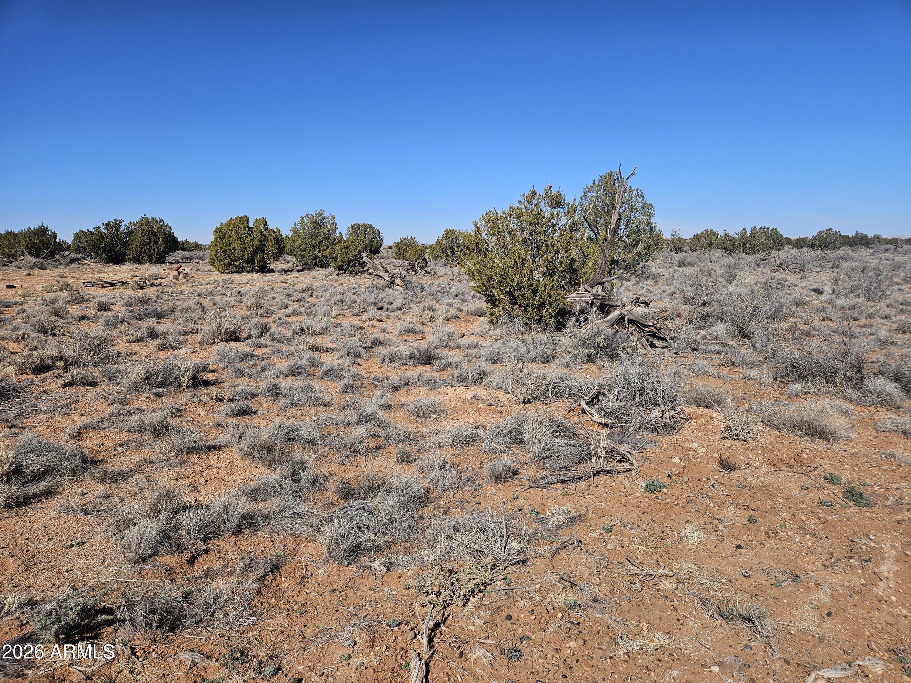 5371 Valley Road Snowflake, AZ 85937 - Photo 27 of 28 a view of a dry yard with trees in the background