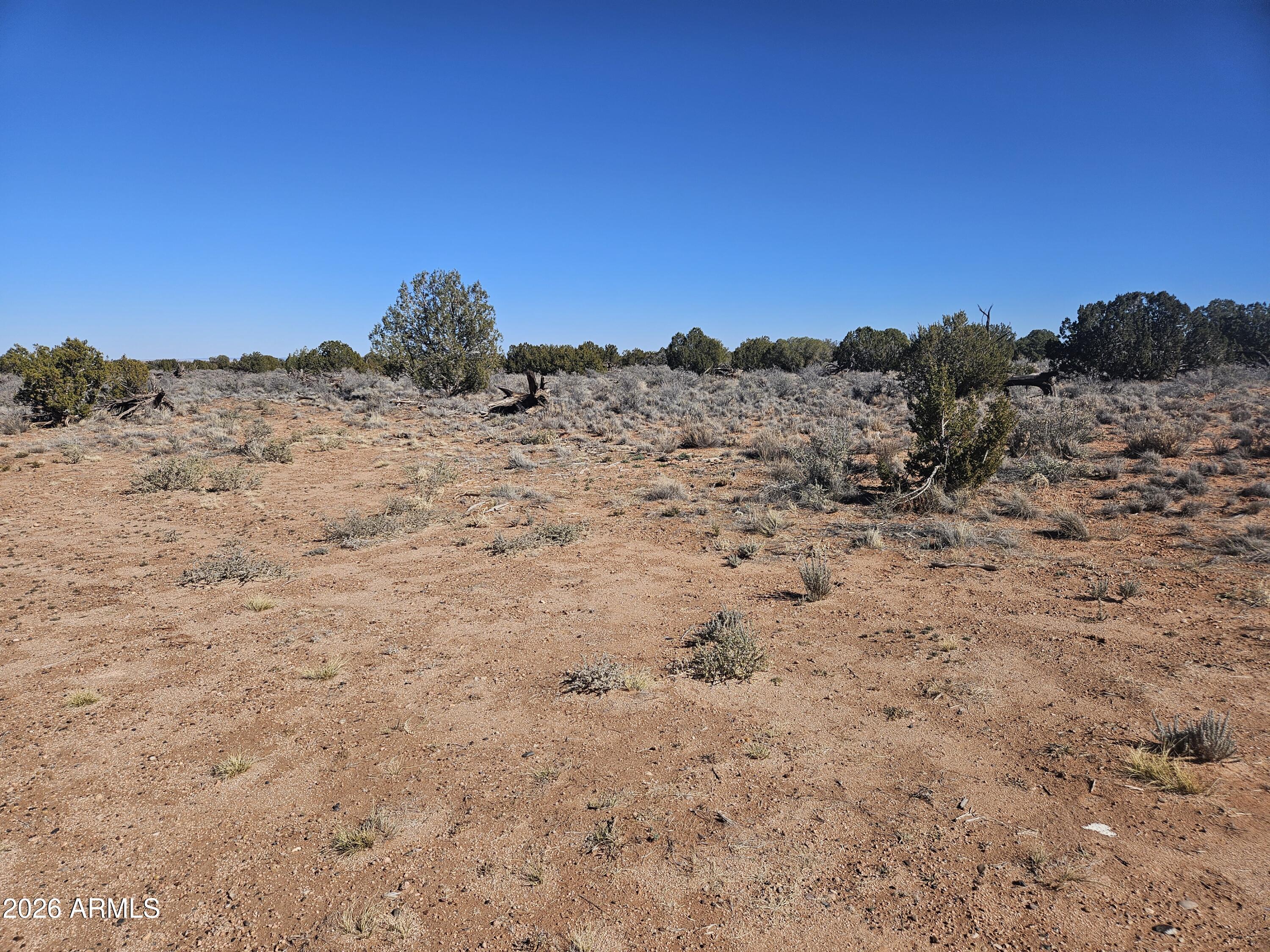 5371 Valley Road Snowflake, AZ 85937 - Photo 28 of 28 a view of a dry yard with mountains in the background