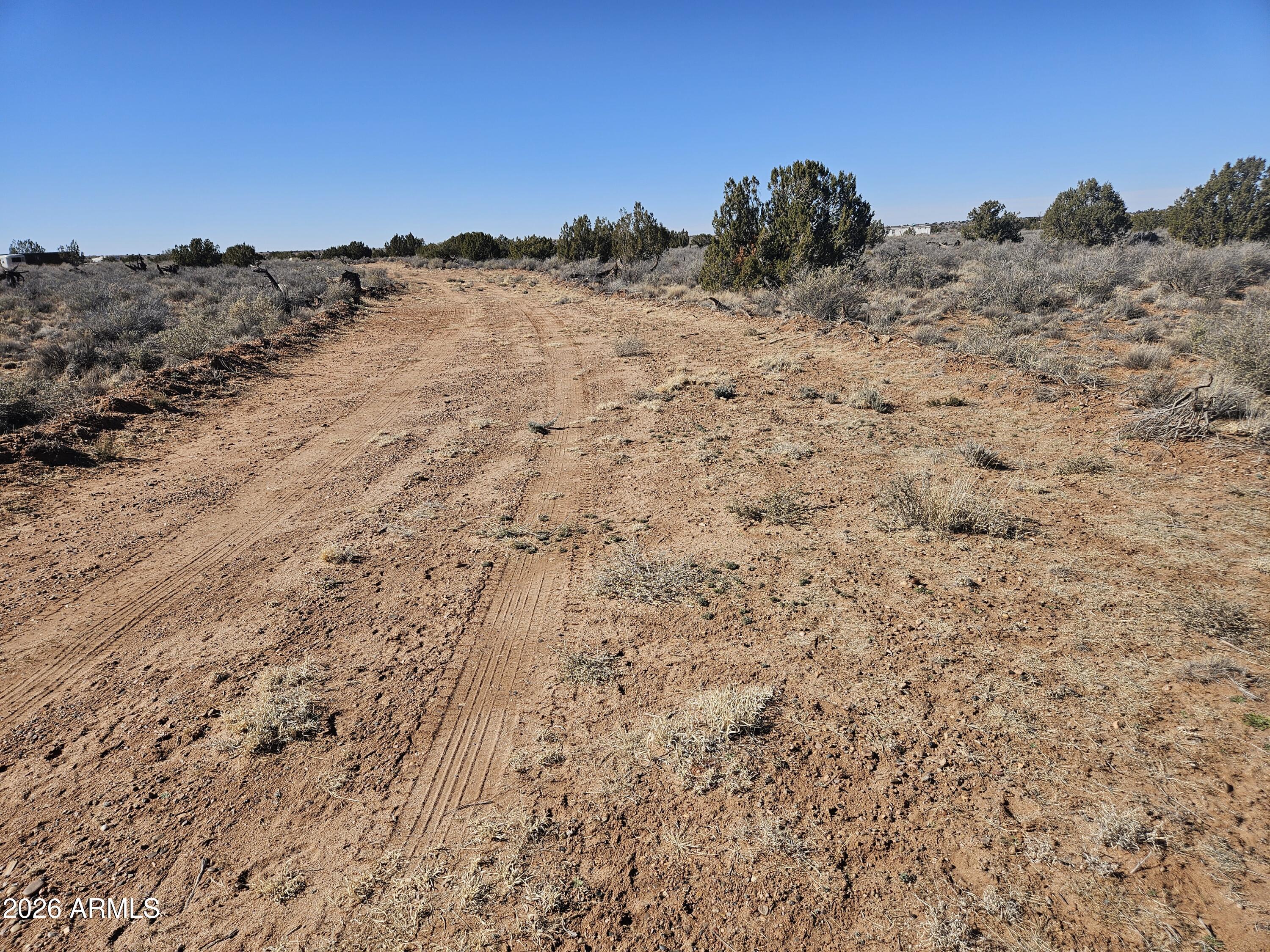 5371 Valley Road Snowflake, AZ 85937 - Photo 6 of 28 a view of mountain view with trees in the background