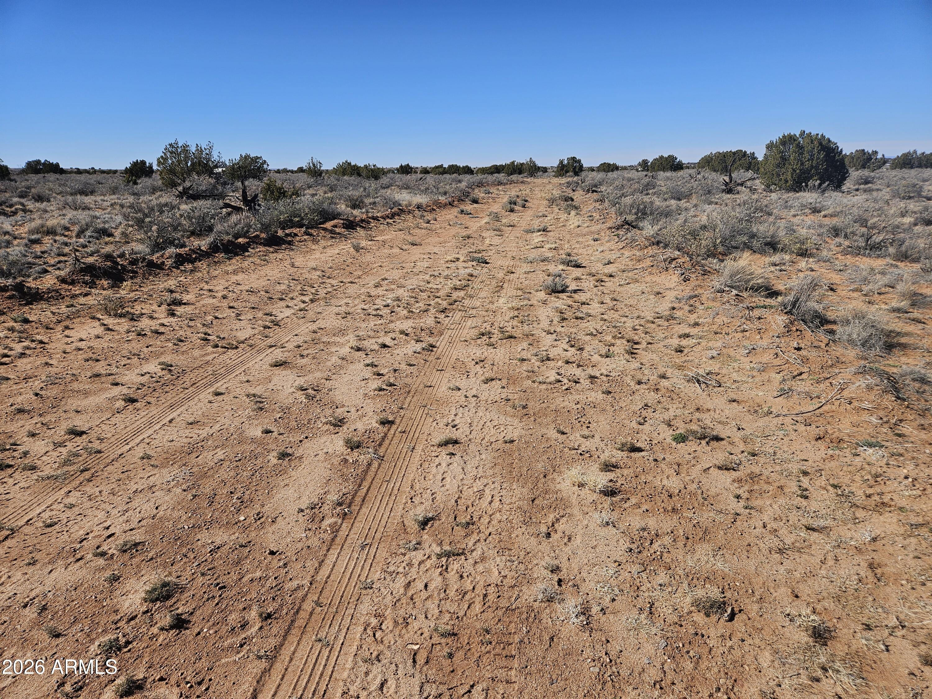 5371 Valley Road Snowflake, AZ 85937 - Photo 7 of 28 a view of a dry field with mountains in the background