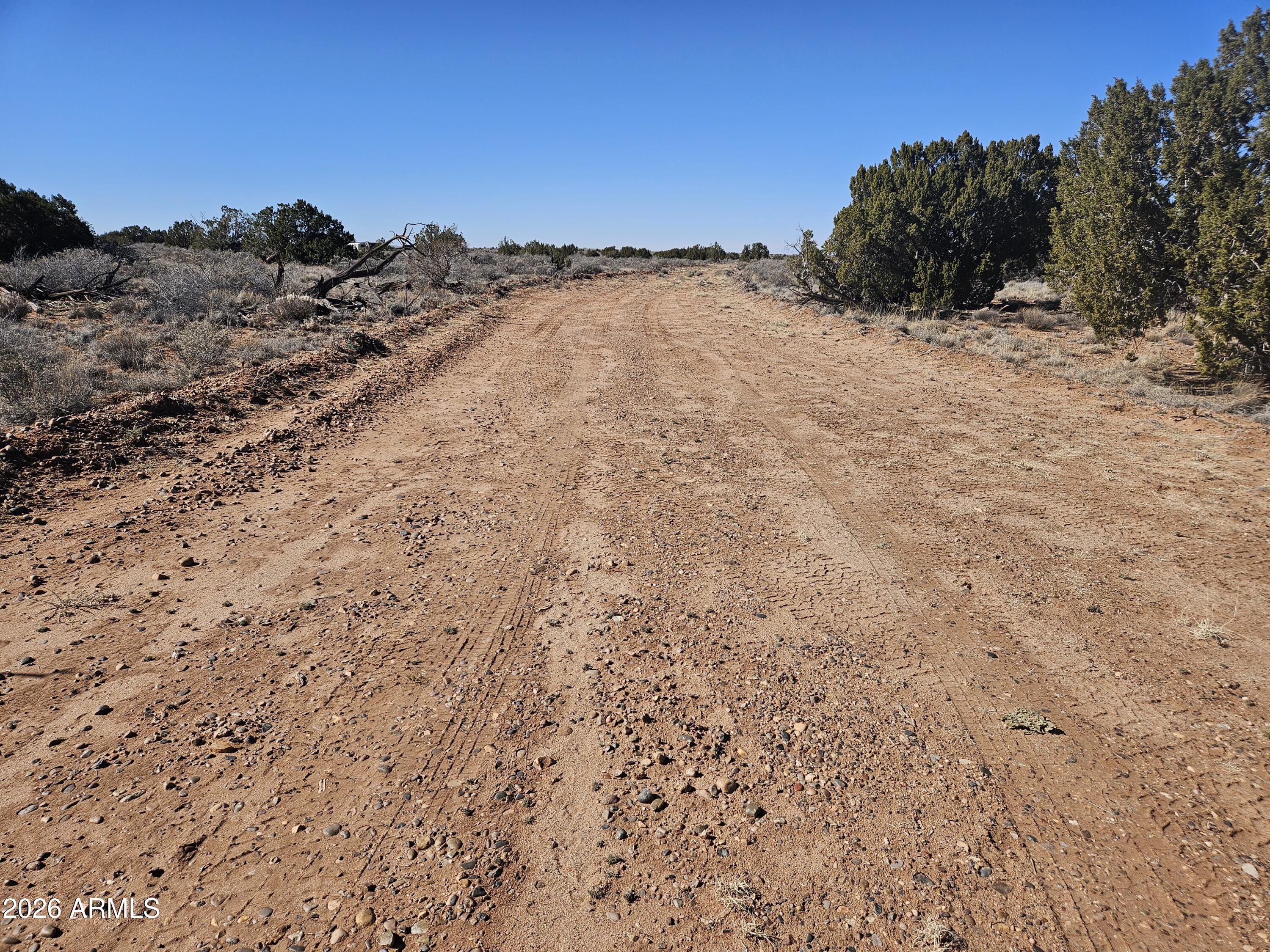 5371 Valley Road Snowflake, AZ 85937 - Photo 8 of 28 a view of a dry yard with mountains in the background