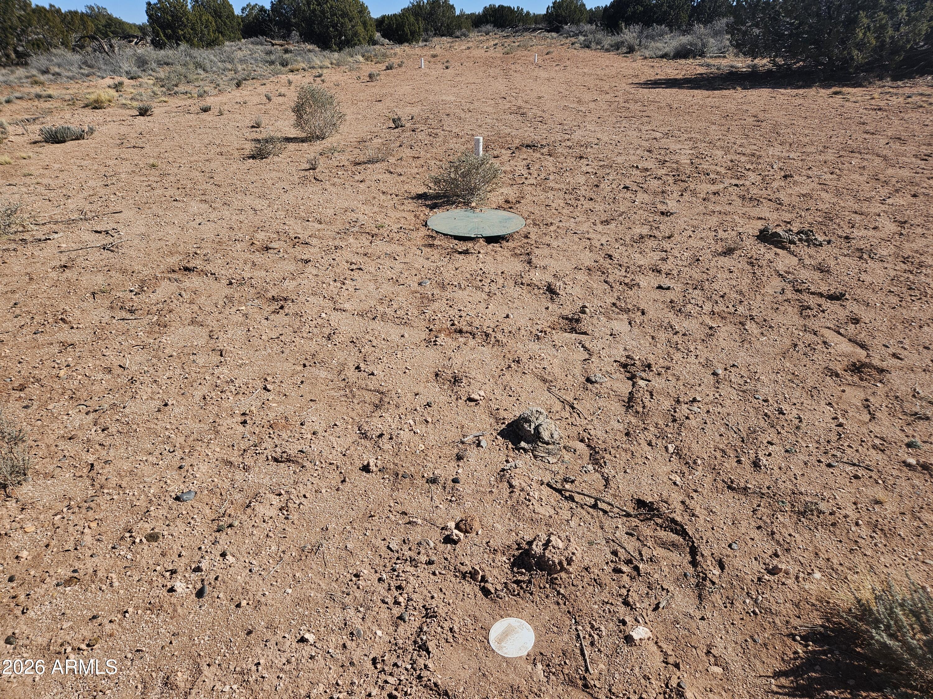 5371 Valley Road Snowflake, AZ 85937 - Photo 9 of 28 a view of a dry yard covered with snow on the road