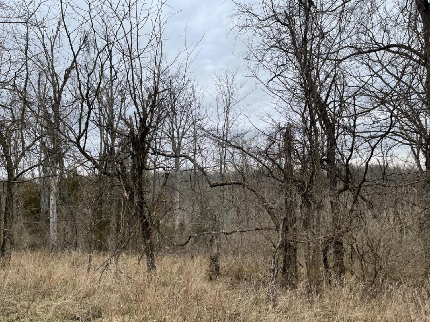 5152 Muddy Ford Road Georgetown, KY 40324 - Photo 7 of 10 Photo 7