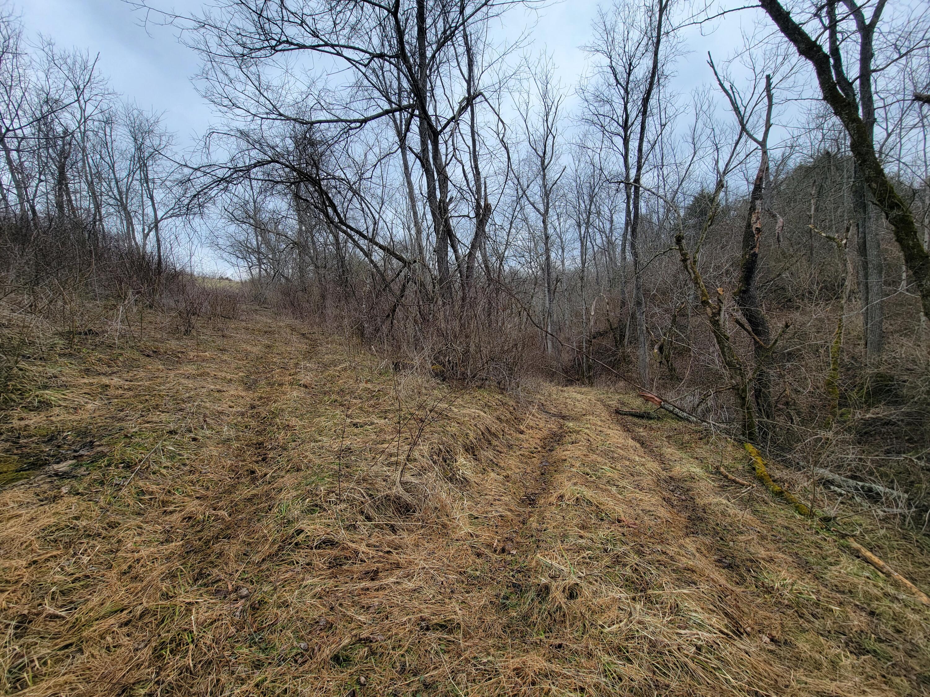 0 Convict Road Sharpsburg, KY 40374 - Photo 14 of 17 1000029223