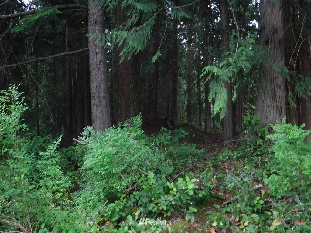 8319 Menzel Lake Road Granite Falls, WA 98252 - Photo 16 of 17 Gallery Image 16