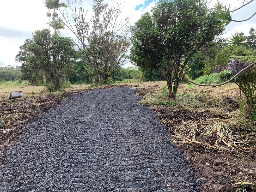 18-1751 Volcano Road Mountain View, HI 96771 - Photo 1 of 11 a view of a yard with plants and a large tree