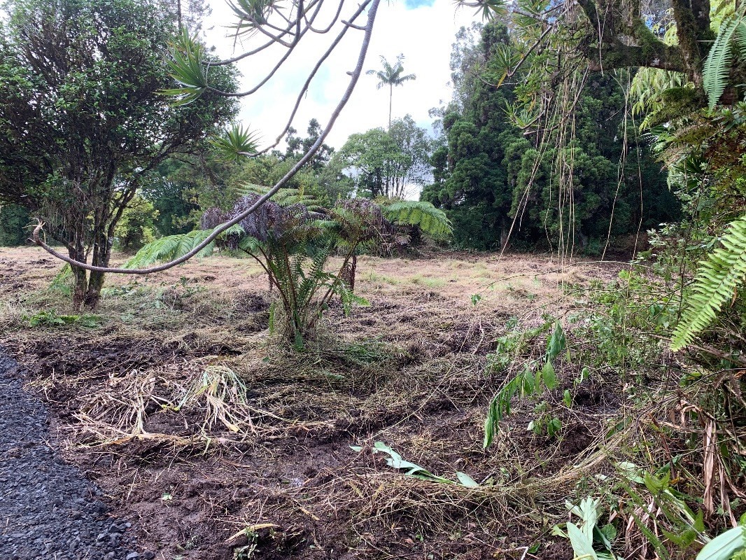 18-1751 Volcano Road Mountain View, HI 96771 - Photo 6 of 11 a backyard of a house with lots of green space