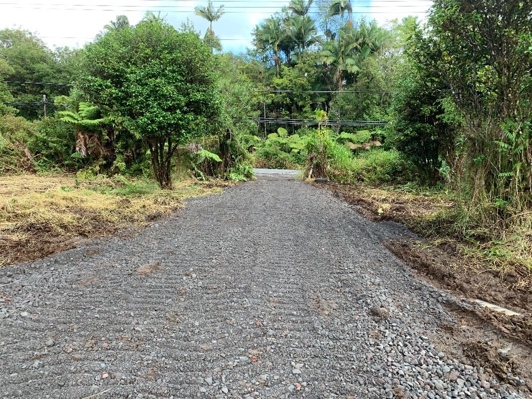 18-1751 Volcano Road Mountain View, HI 96771 - Photo 10 of 11 a view of a yard with plants and trees