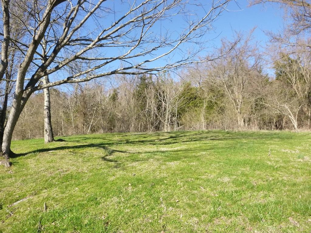 448 Geisler Road Piney Flats, TN 37686 - Photo 5 of 28 Photo 5
