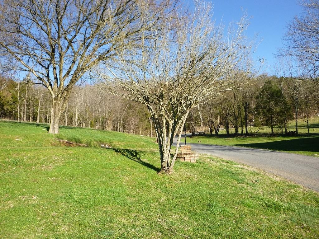 448 Geisler Road Piney Flats, TN 37686 - Photo 6 of 28 Photo 6
