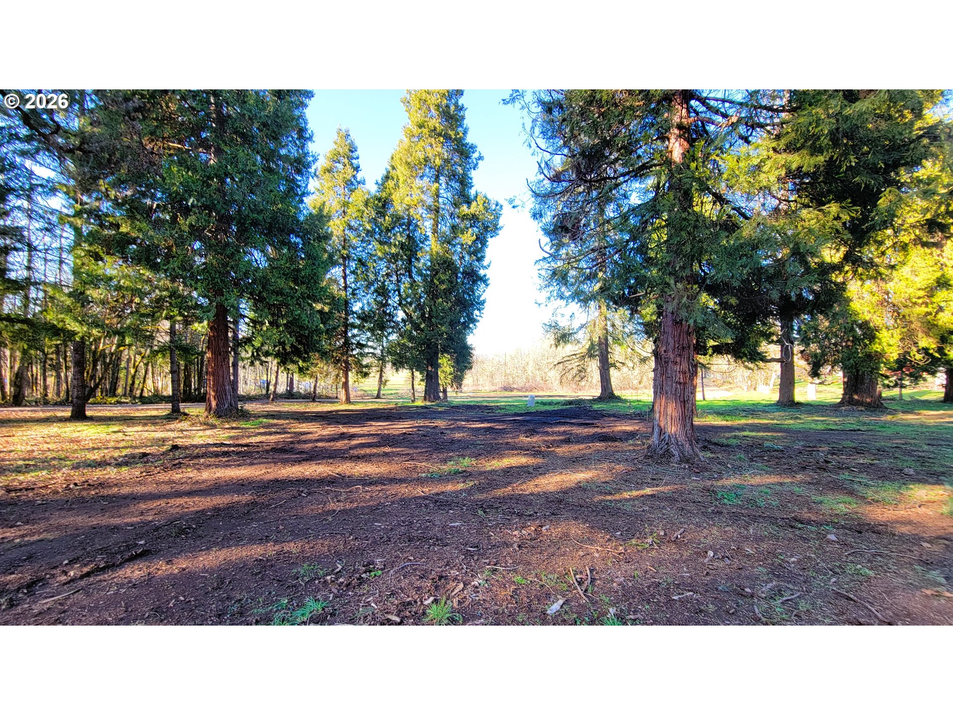 Rogers Lane, Unit 1 Dexter, OR 97431 - Photo 4 of 9