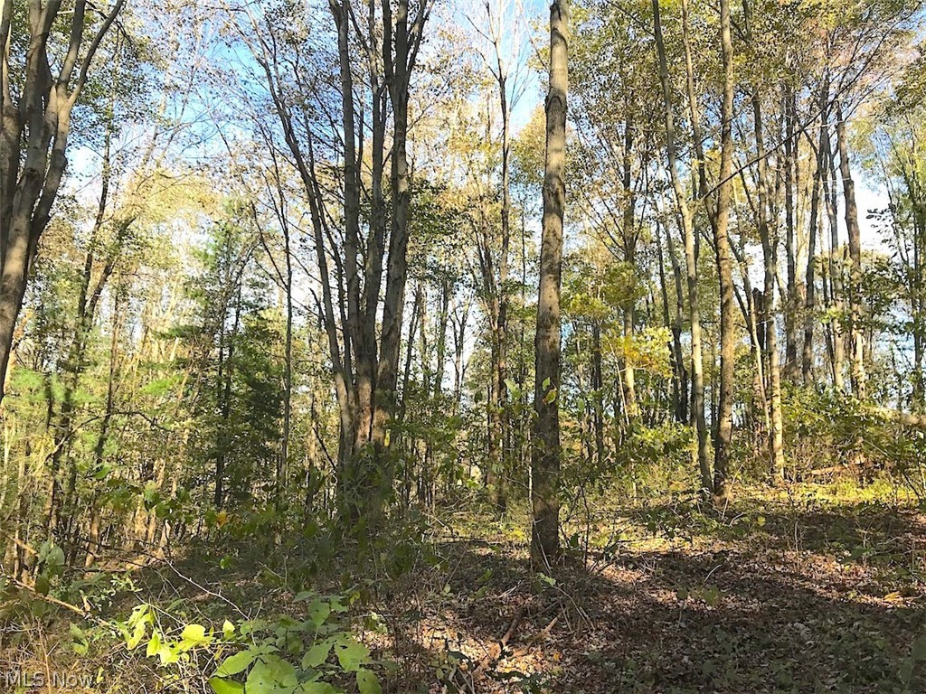 Timber Rock Road Lore City, OH 43755 - Photo 10 of 35