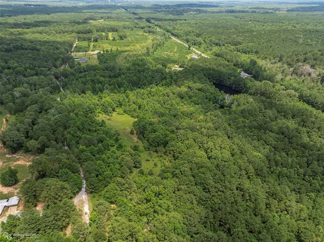 a view of a lush green forest with lots of trees