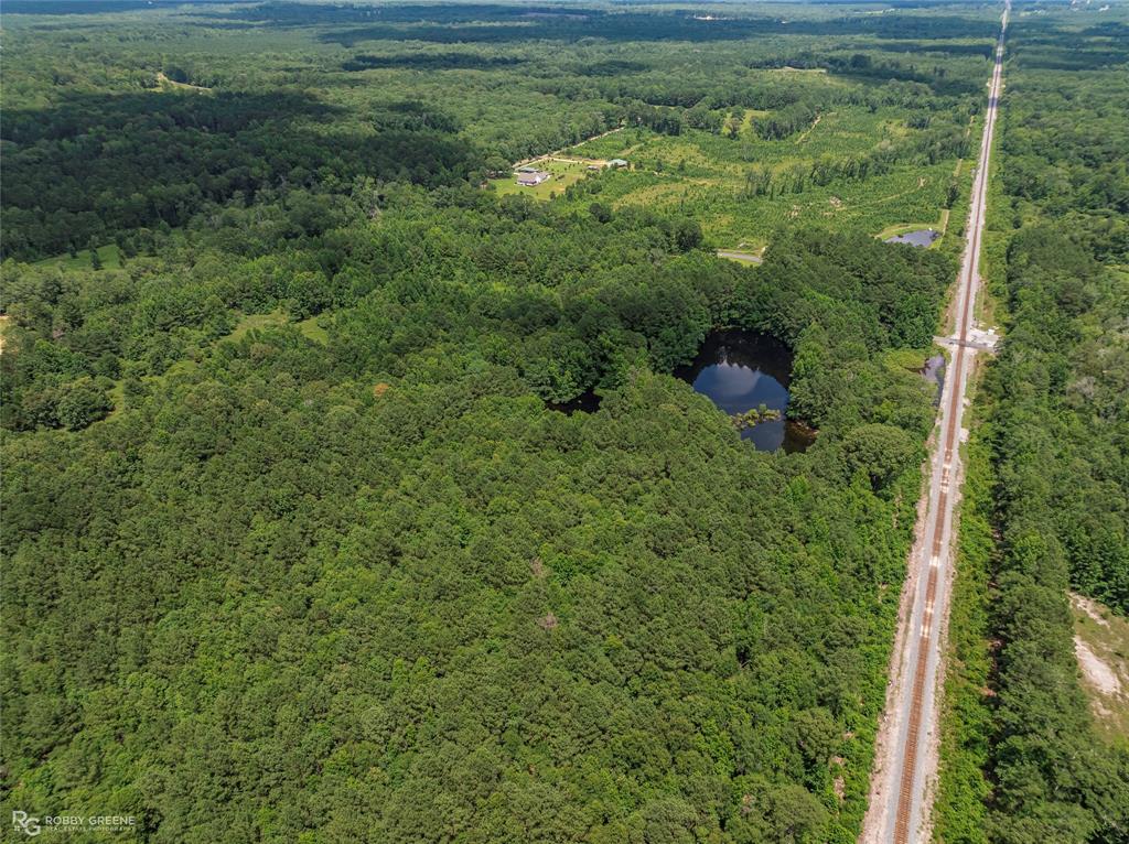 P-1 Stuckey Road Dubberly, LA 71024 - Photo 3 of 7 a view of a lush green forest