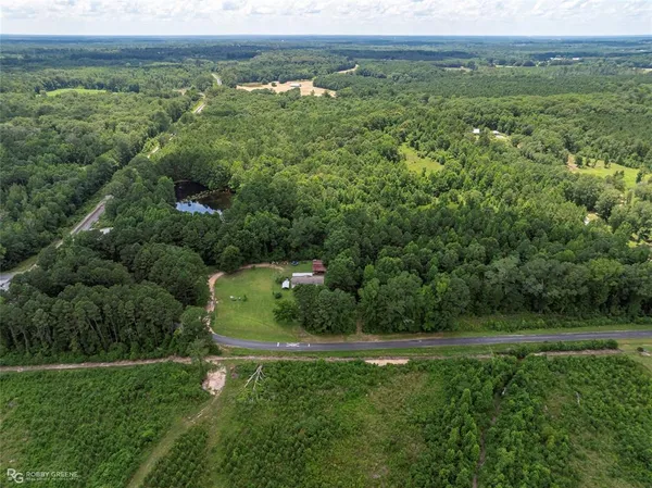 a view of a lush green forest with a house