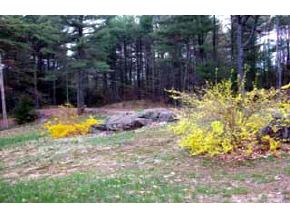 214 Couchtown Road Warner, NH 03278 - Photo 2 of 2