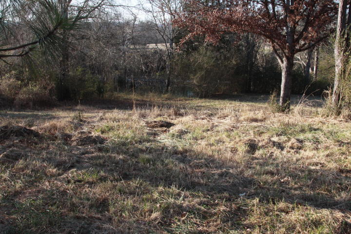 0 Espalier Drive, Unit 27 Decatur, TN 37322 - Photo 11 of 22 10