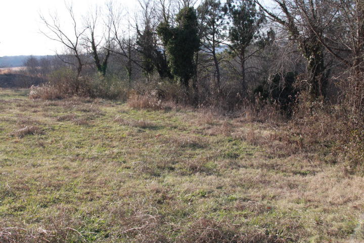 0 Espalier Drive, Unit 27 Decatur, TN 37322 - Photo 12 of 22 11