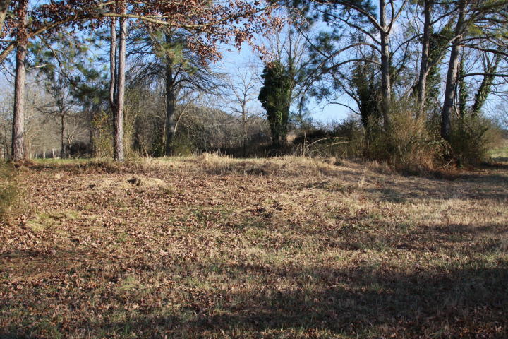 0 Espalier Drive, Unit 27 Decatur, TN 37322 - Photo 7 of 22 6