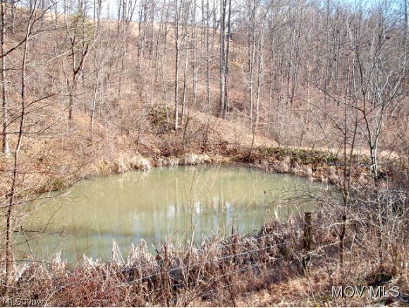 5058 Pullman Road Harrisville, WV 26362 - Photo 15 of 22 Farm Pond