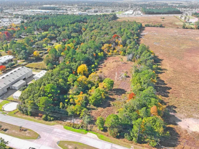 a view of a garden with plants
