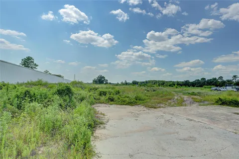 a view of a yard with plants and large trees
