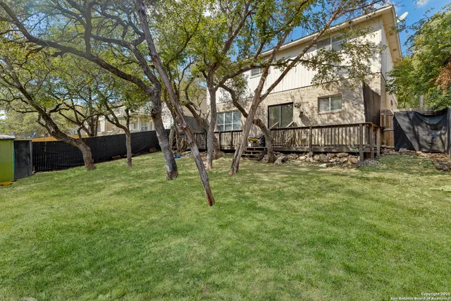 a view of a backyard with a tree