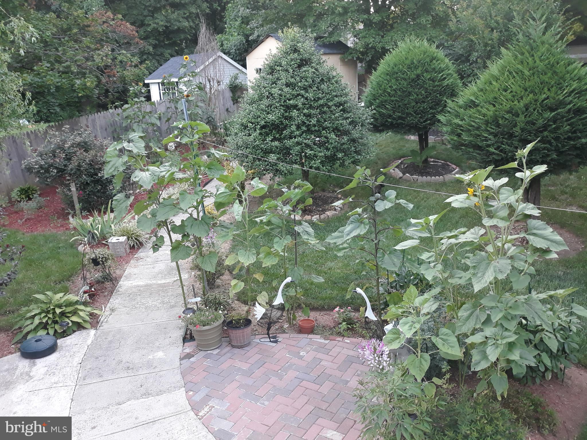 1320 Rainbow Drive Silver Spring, MD 20905 - Photo 23 of 26