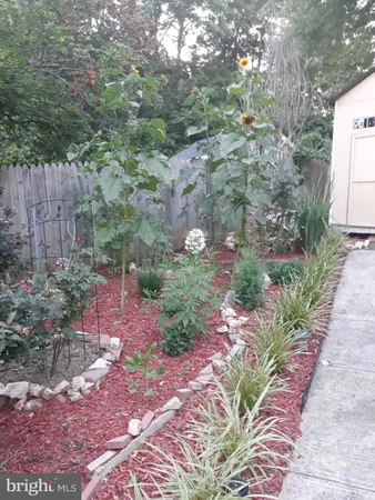 a view of a pathway both side of yard