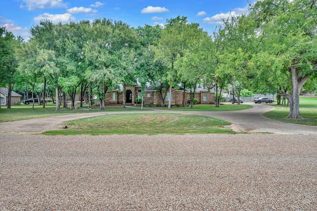 a view of a kids room with large trees