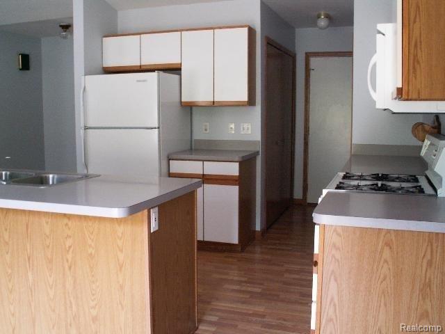 4355 Vines Road Howell, MI 48843 - Photo 5 of 6 Spacious kitchen